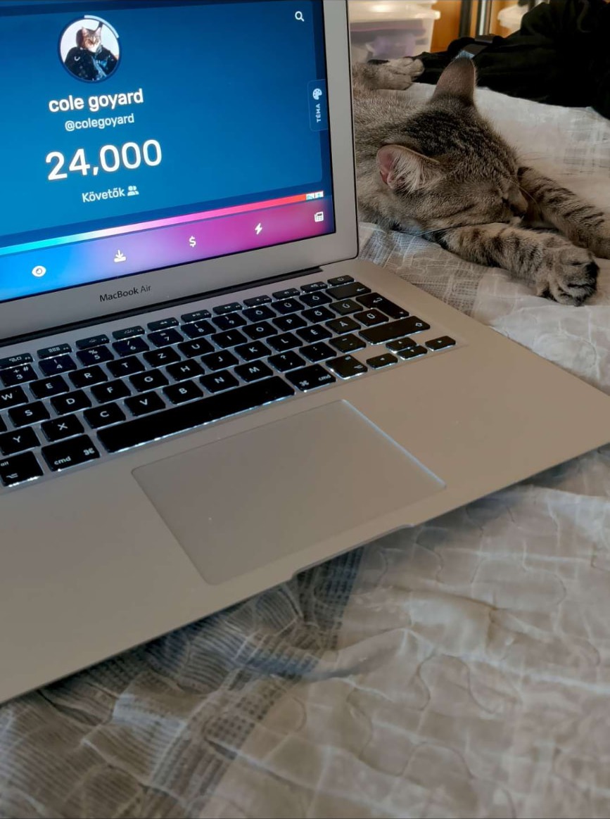 Sakura alszik a laptop mellett, a képernyőn a TikTok-profilja